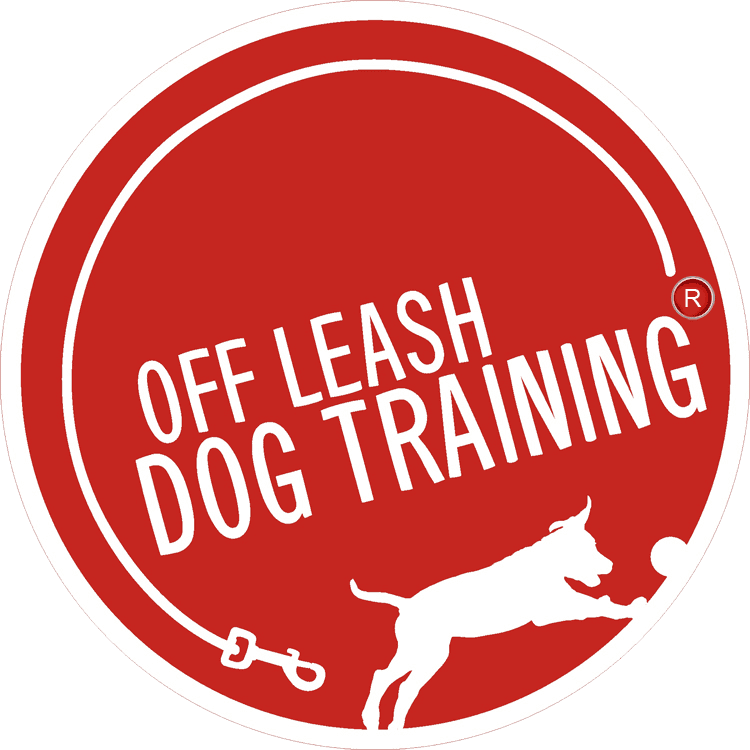 Off lead dog training hotsell