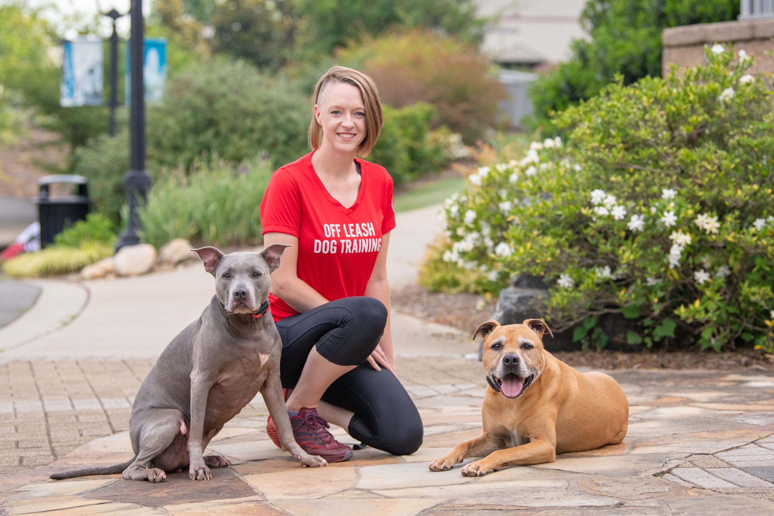 Charlotte Dog Trainers Meet Our Team Off Leash Dog Training